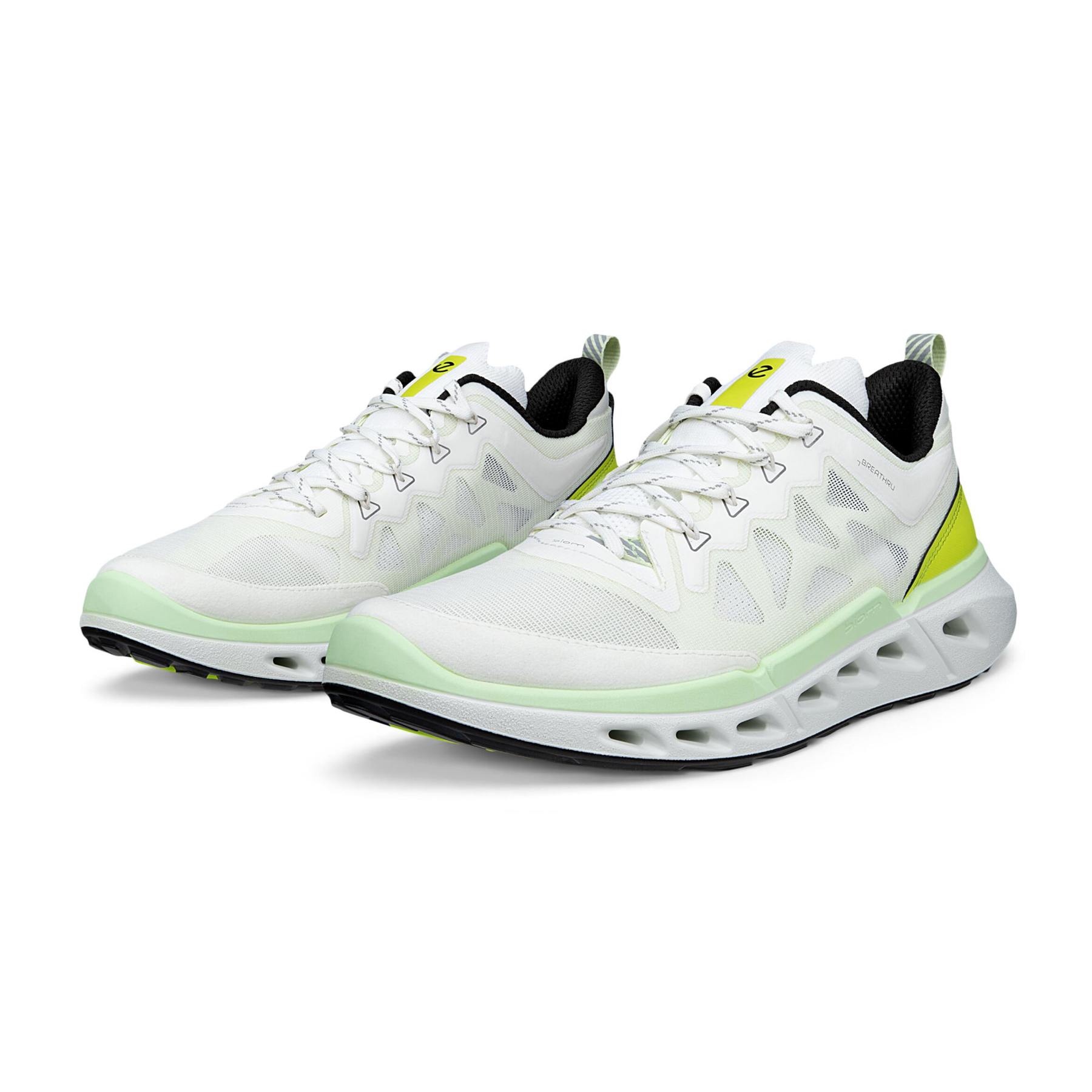 Кроссовки ECCO BIOM 720 M 850314/61646