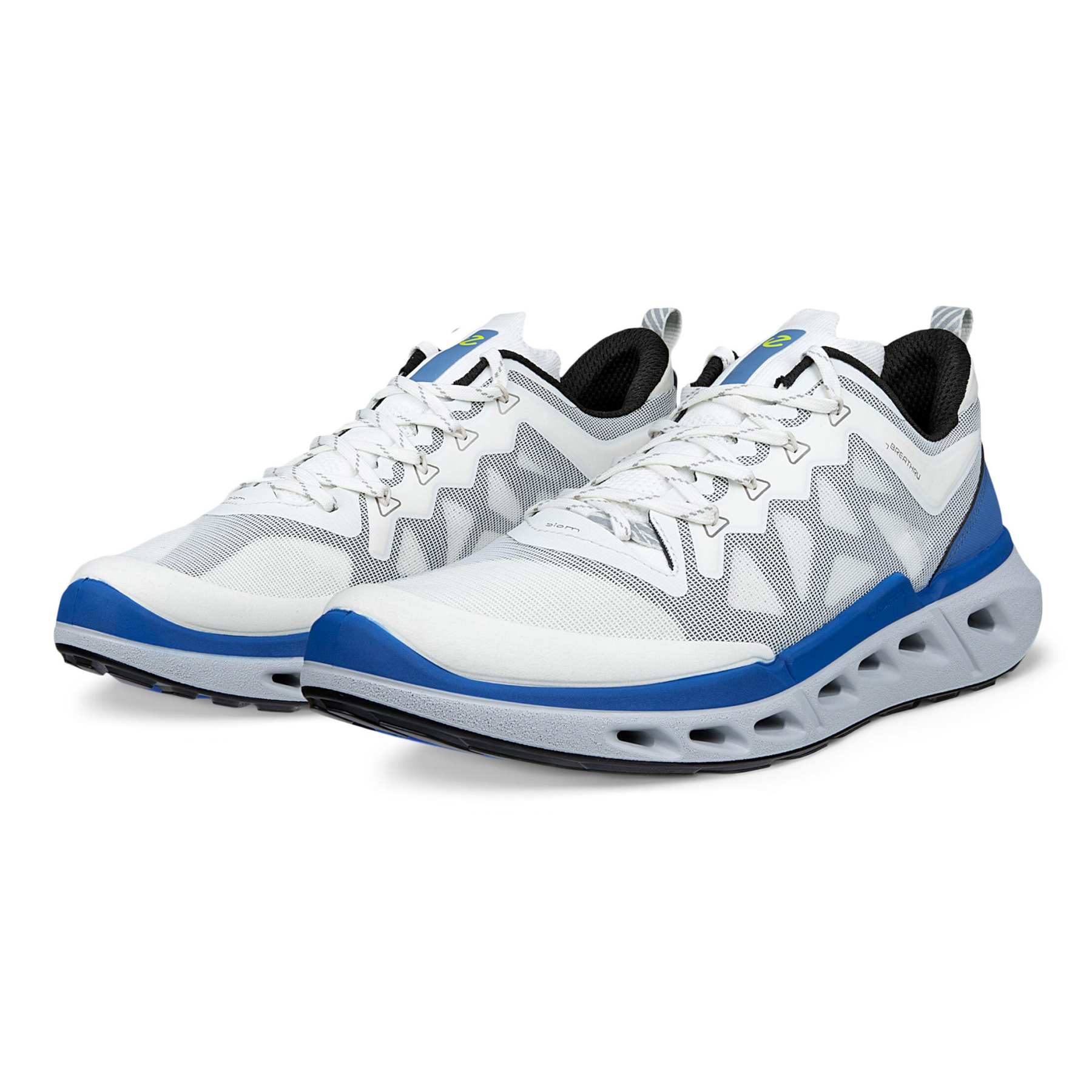 Кроссовки ECCO BIOM 720 M 850314/61647