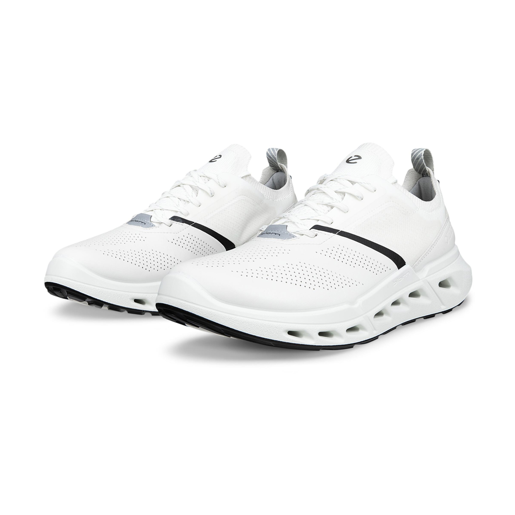 Кроссовки ECCO BIOM 720 M 850324/61648