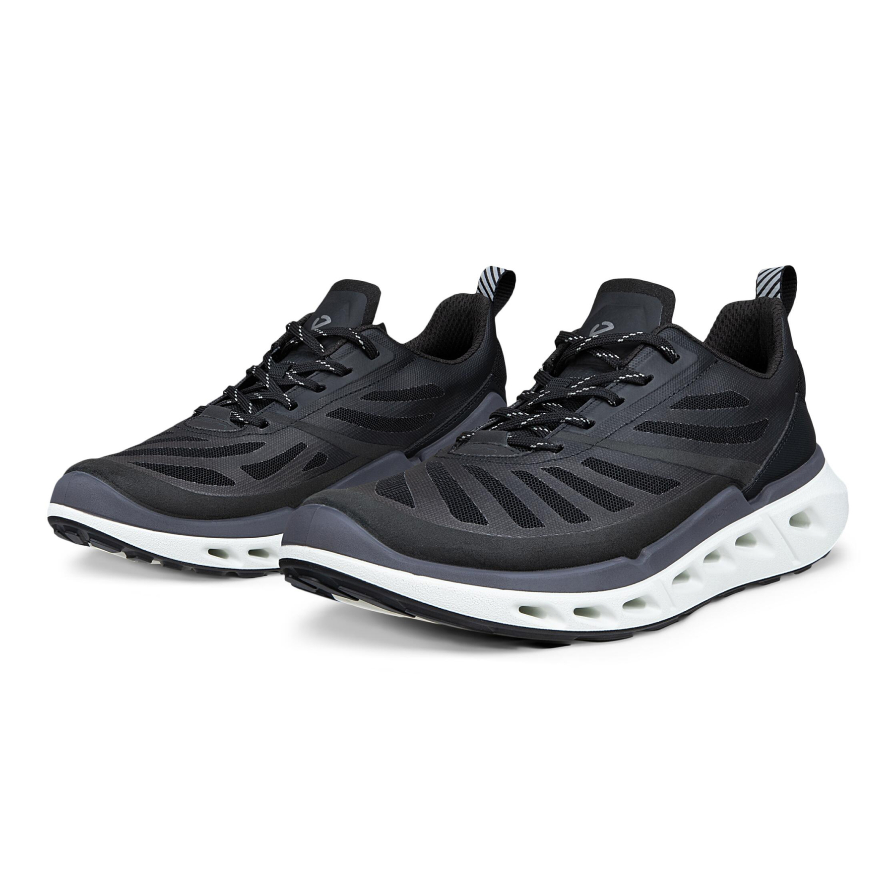 Кроссовки ECCO BIOM 720 W 850333/60266