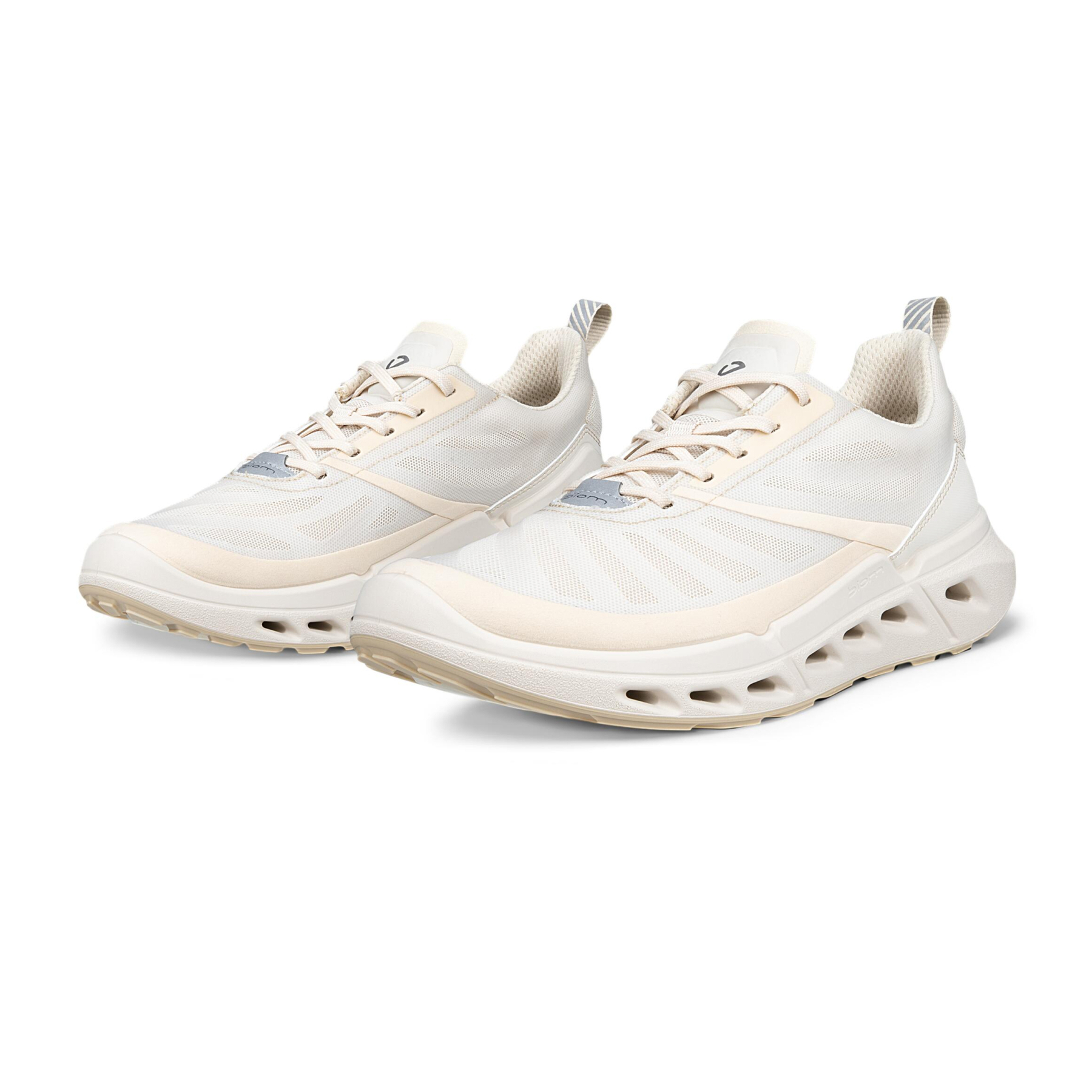 Кроссовки ECCO BIOM 720 W 850333/61684