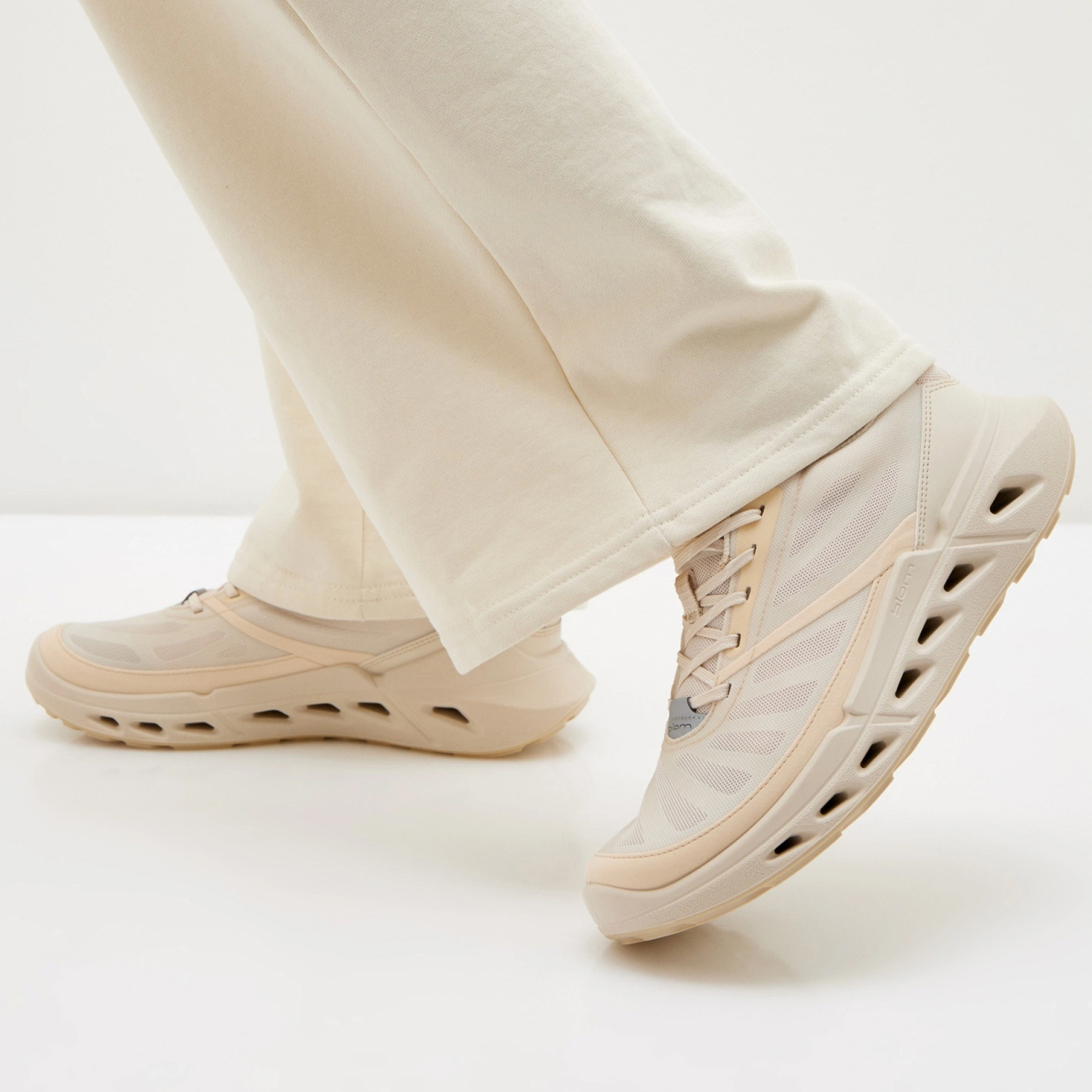 Кроссовки ECCO BIOM 720 W 850333/61684