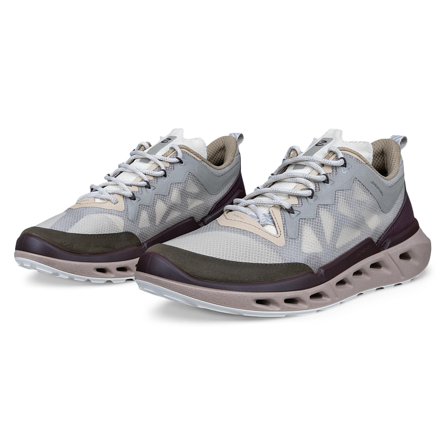 Кроссовки ECCO BIOM 720 W 850373/61754