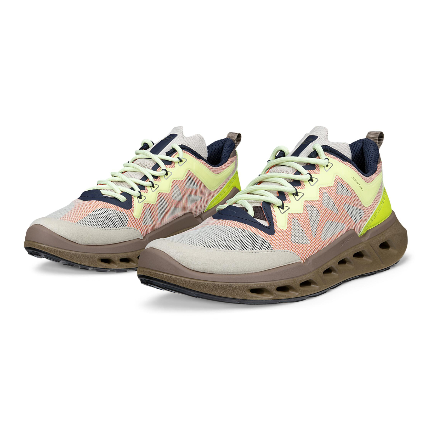 Кроссовки ECCO BIOM 720 W 850373/61756