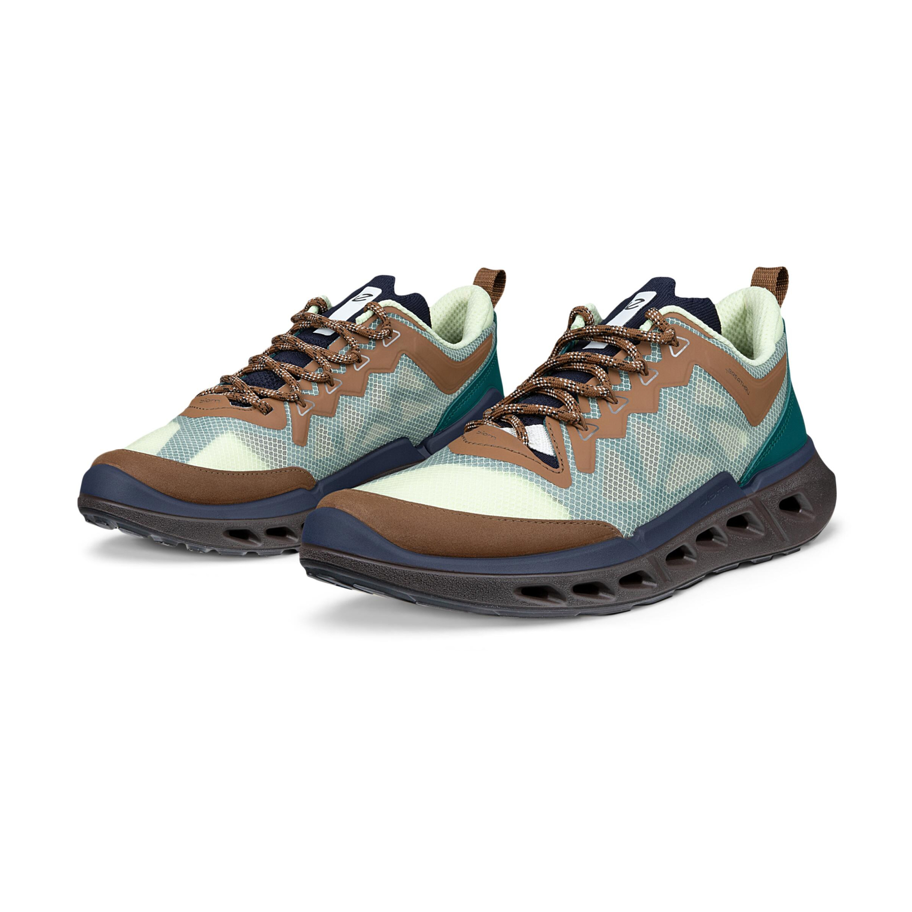 Кроссовки ECCO BIOM 720 W 850373/61757