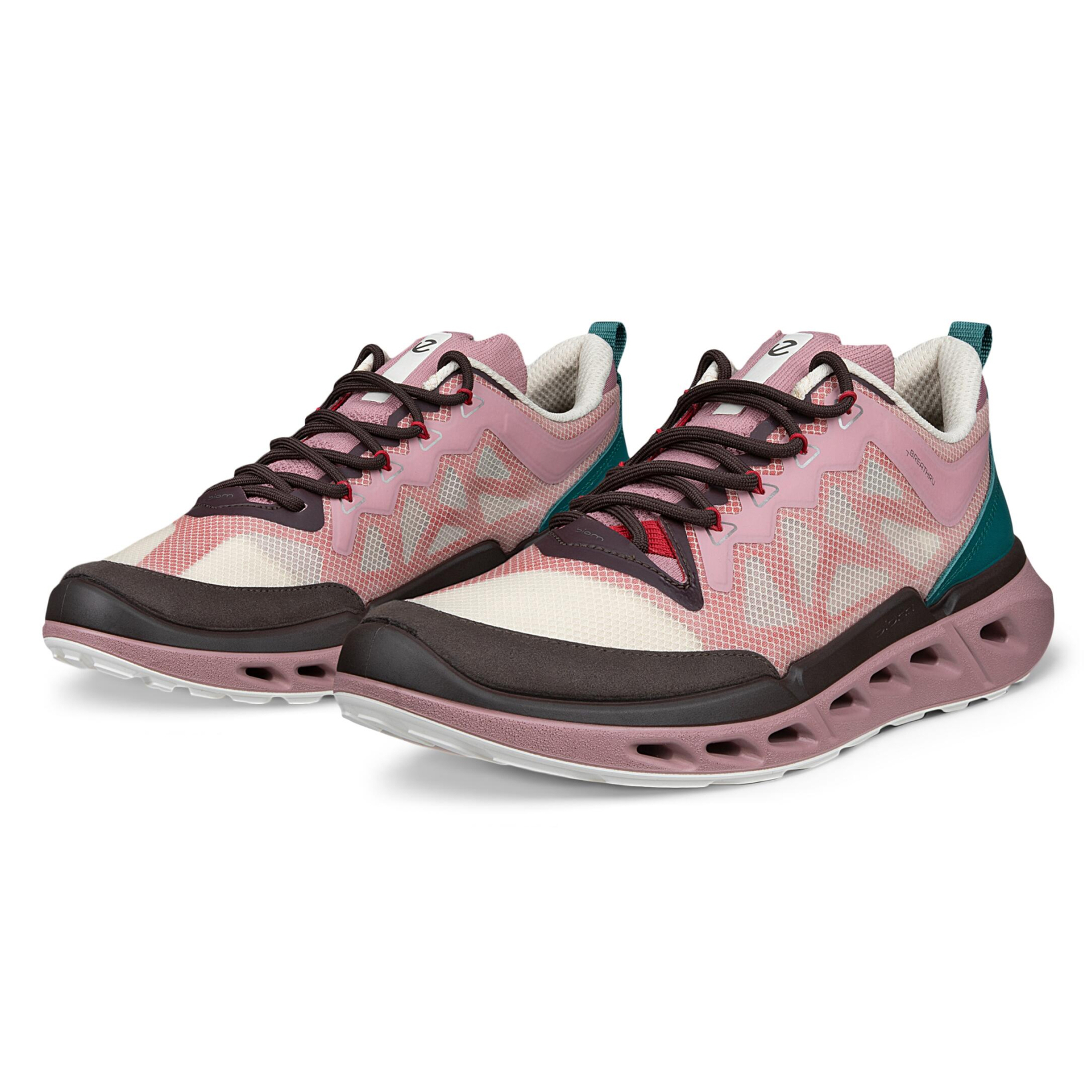 Кроссовки ECCO BIOM 720 W 850373/61758