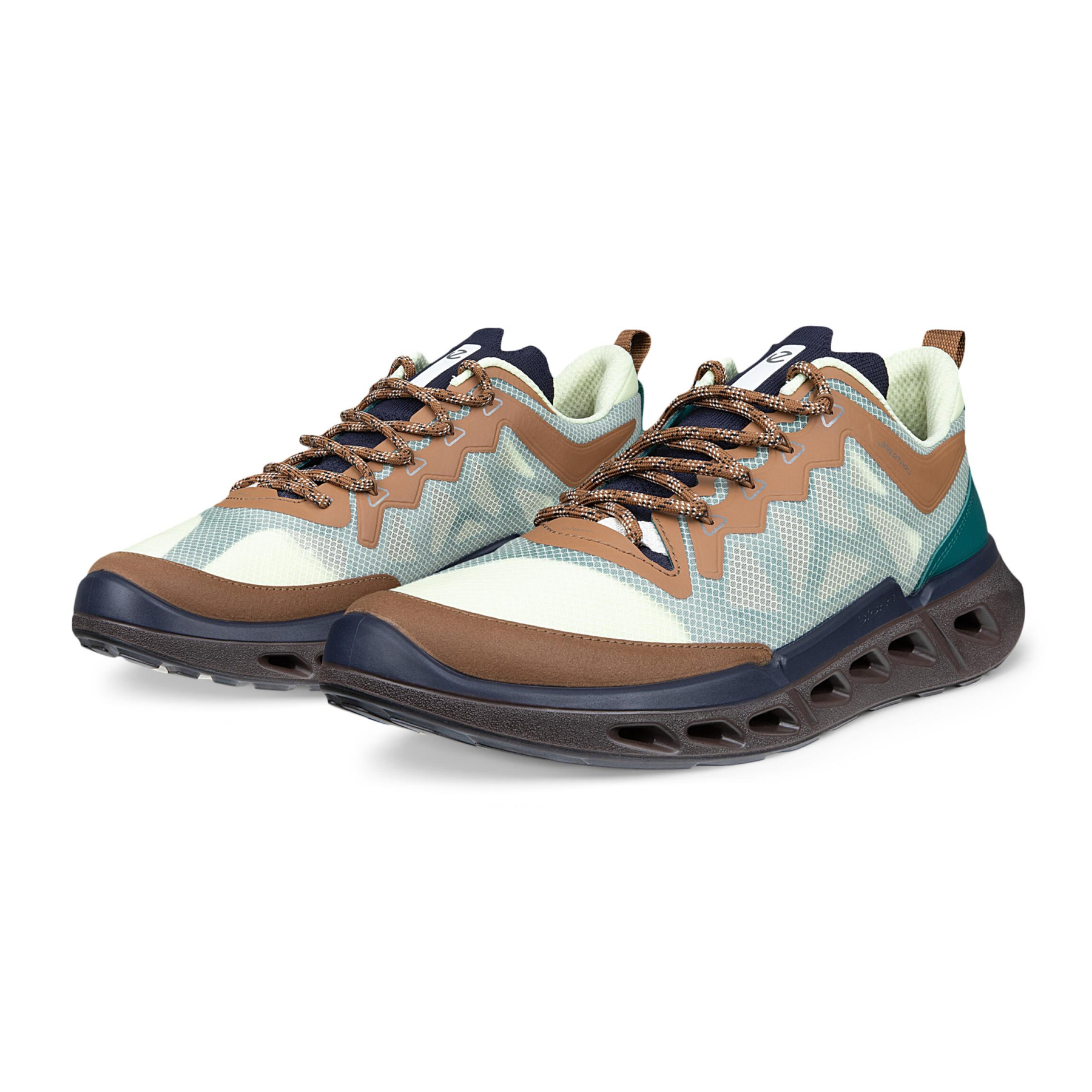 Кроссовки ECCO BIOM 720 M 850374/61757