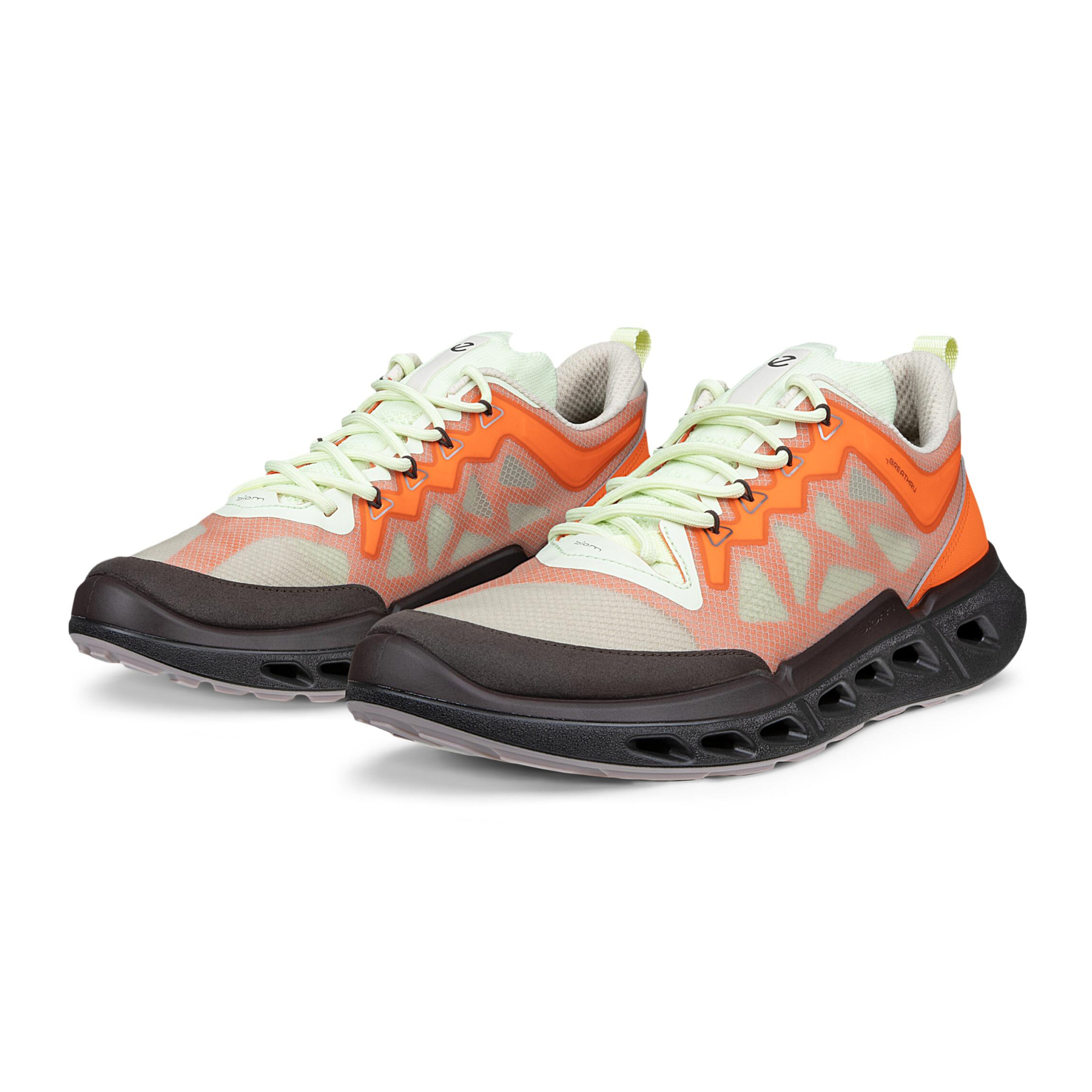 Кроссовки ECCO BIOM 720 W 850393/61761