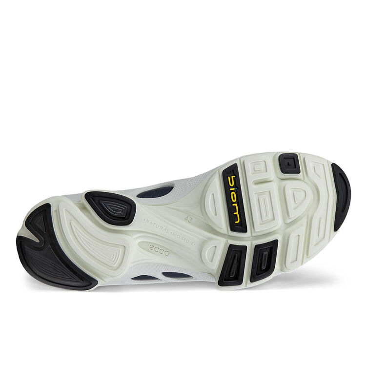 Кроссовки ECCO BIOM C M 091504/01415