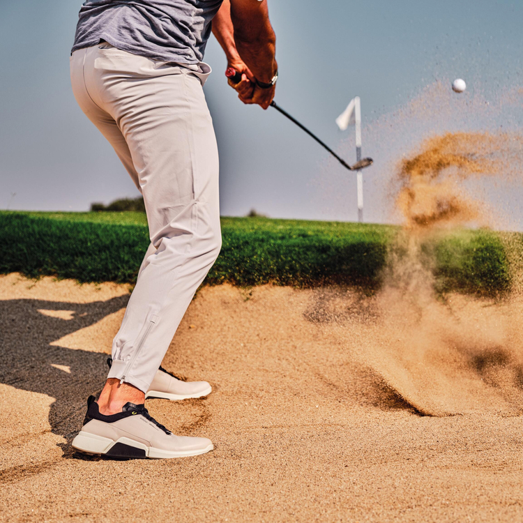 Кроссовки ECCO M GOLF BIOM H4 108284/50675