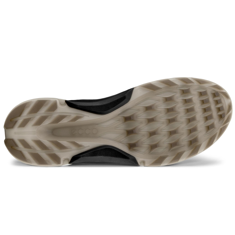 Кроссовки ECCO M GOLF BIOM H4 108284/50675