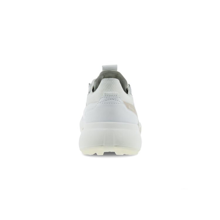 Кроссовки ECCO M GOLF BIOM H4 108504/58336