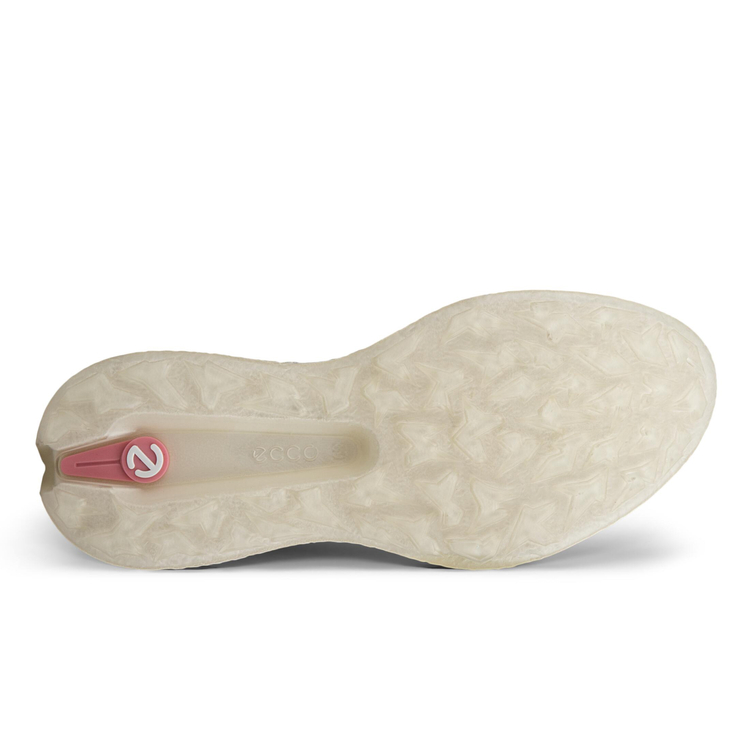 Кроссовки ECCO W GOLF BIOM H5 115003/01378