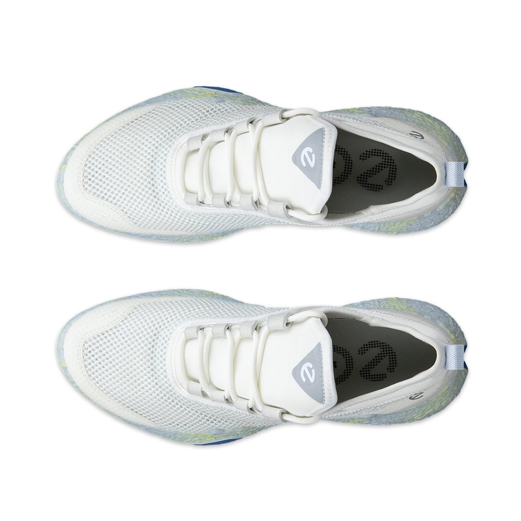 Кроссовки ECCO W GOLF BIOM H5 115023/61592