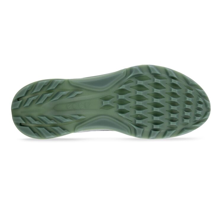 Кроссовки ECCO M GOLF BIOM C4 130404/01308