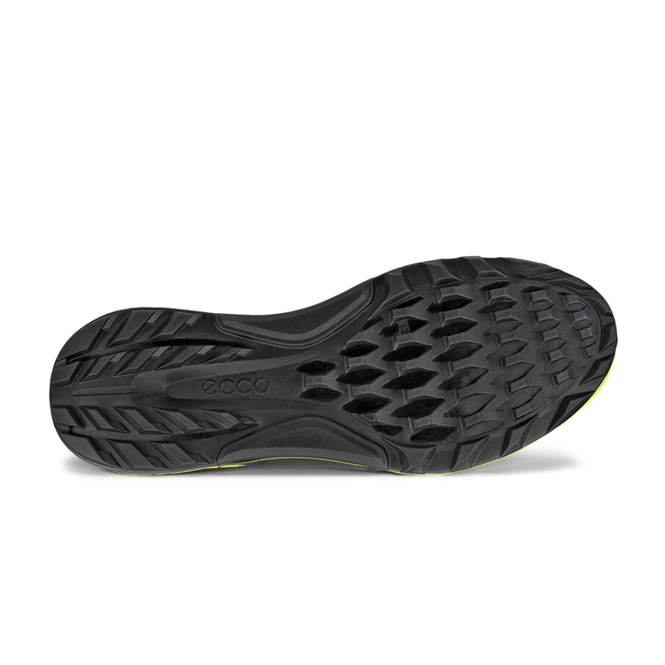 Кроссовки ECCO M GOLF BIOM C4 130404/55365
