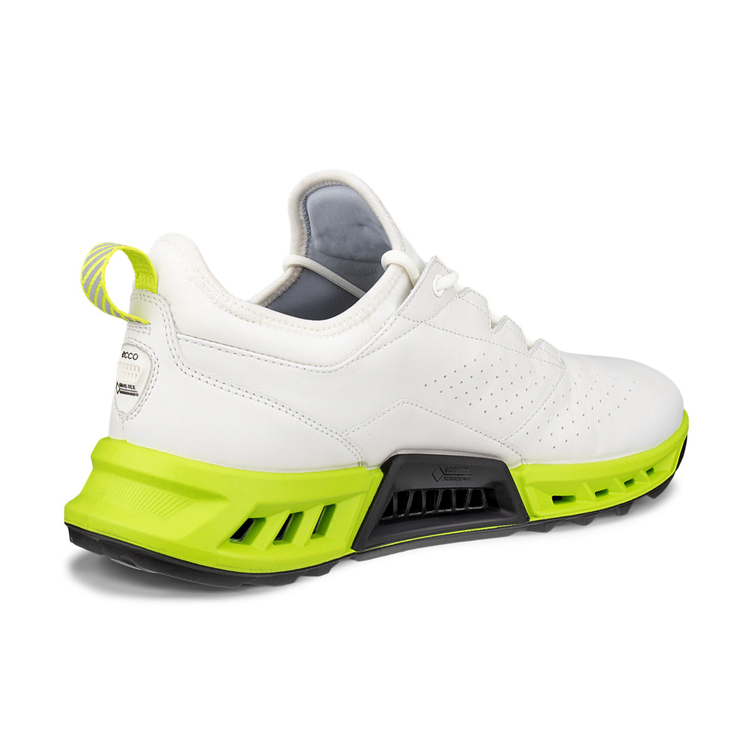 Кроссовки ECCO M GOLF BIOM C4 130404/55365