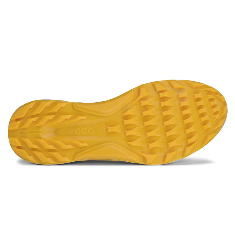 Кроссовки ECCO M GOLF BIOM C4 130404/56342