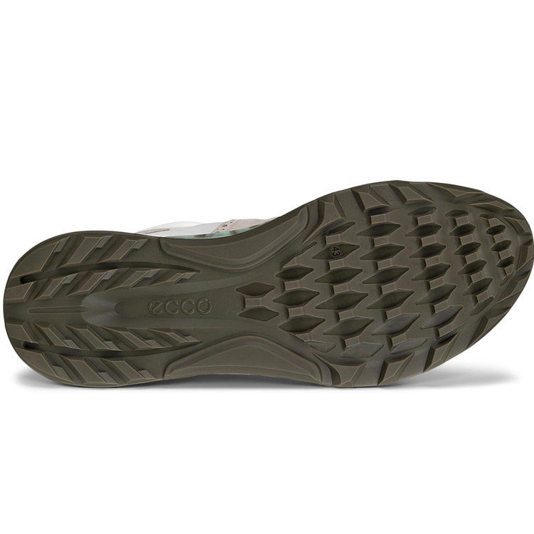 Кроссовки ECCO M GOLF BIOM C4 130454/60920