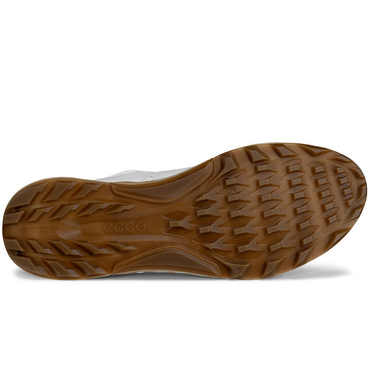 Кроссовки ECCO W GOLF BIOM C4 130933/01021