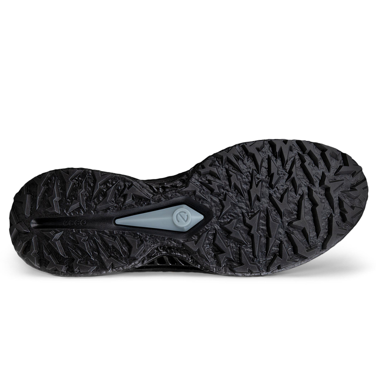 Кроссовки ECCO M GOLF BIOM C5 132604/50843