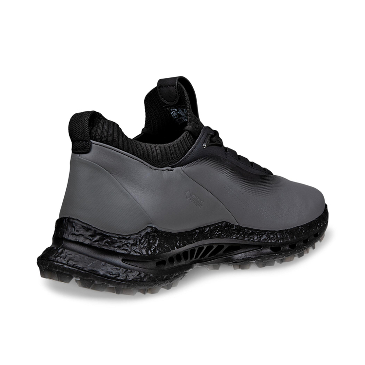 Кроссовки ECCO M GOLF BIOM C5 132604/50843