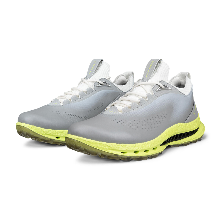 Кроссовки ECCO M GOLF BIOM C5 132604/55915