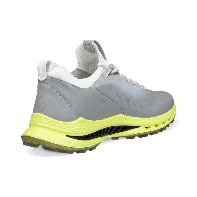 Кроссовки ECCO M GOLF BIOM C5 132604/55915