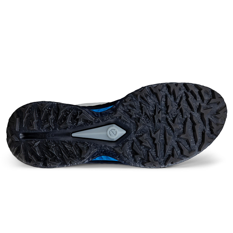 Кроссовки ECCO M GOLF BIOM C5 132604/60611