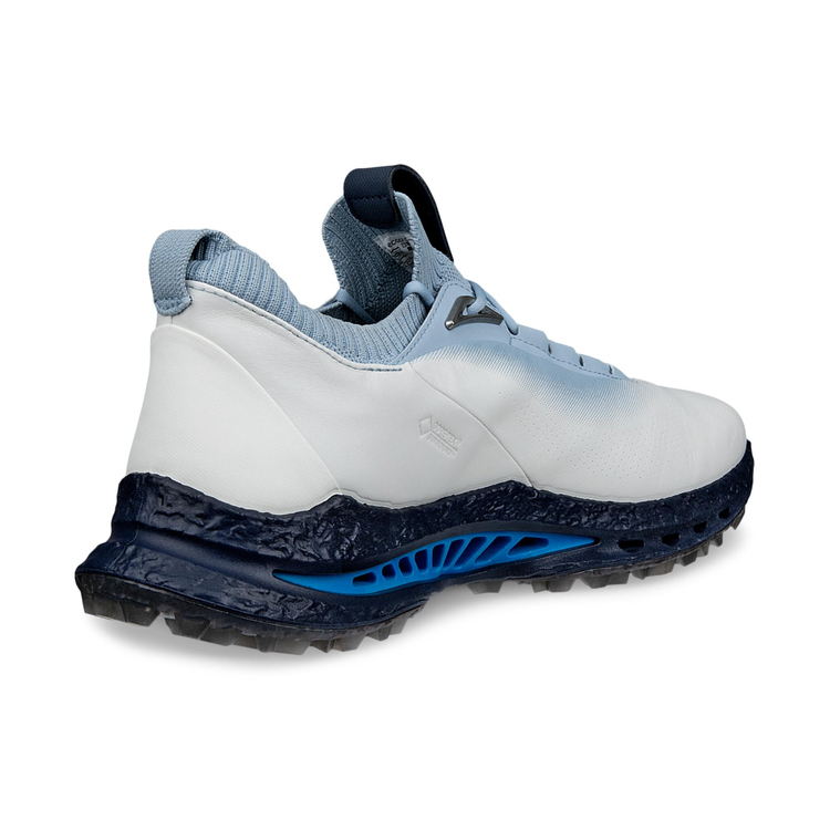 Кроссовки ECCO M GOLF BIOM C5 132604/60611