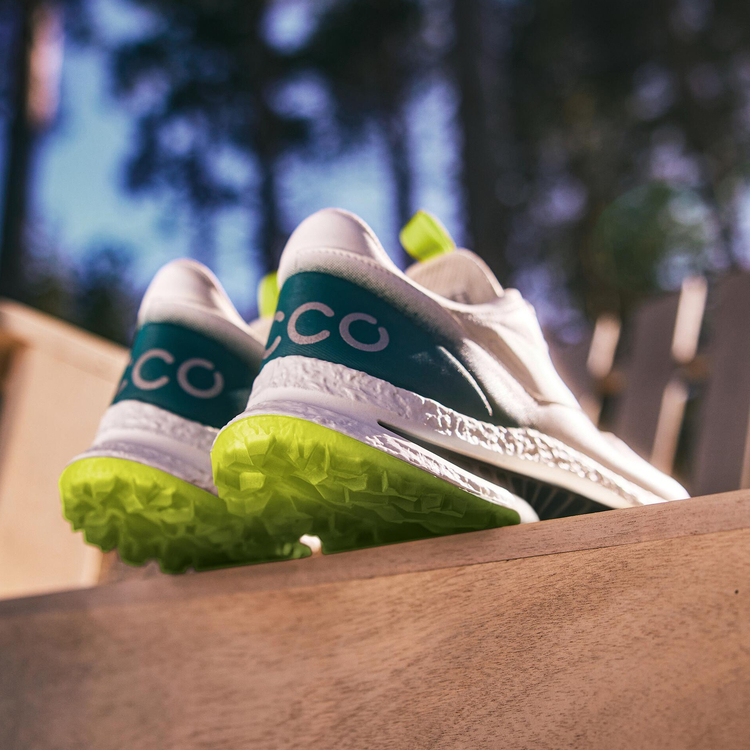 Кроссовки ECCO M GOLF BIOM C5 132614/61475