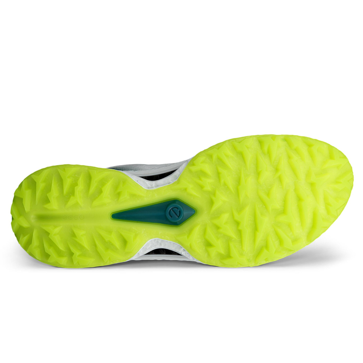 Кроссовки ECCO M GOLF BIOM C5 132614/61475