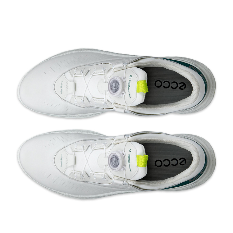 Кроссовки ECCO M GOLF BIOM C5 132614/61475