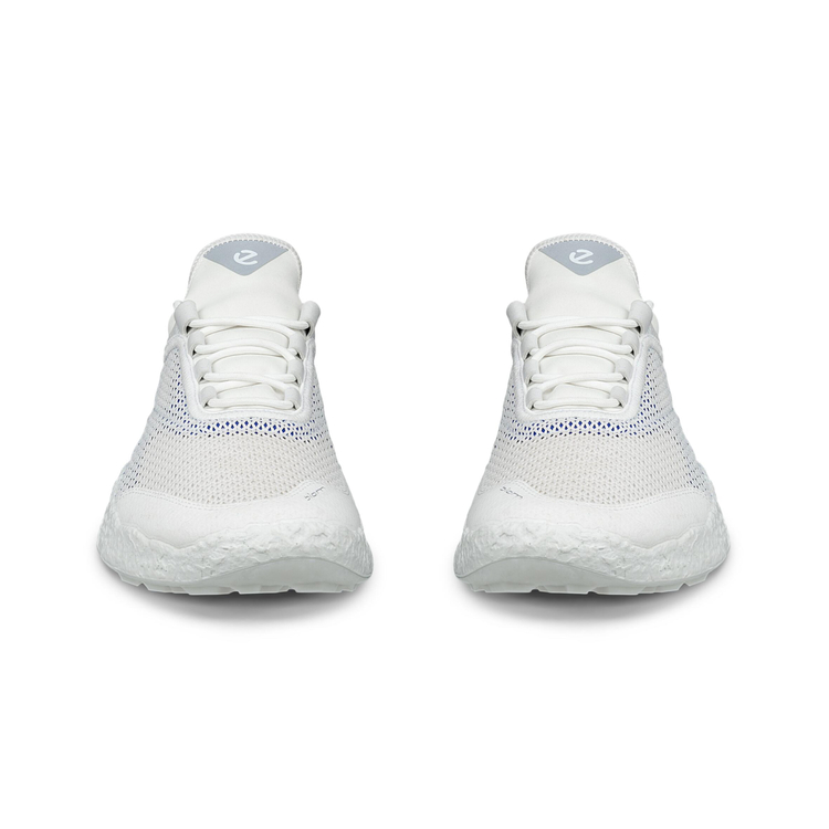 Кроссовки ECCO M GOLF BIOM H5 138004/61109 Кроссовки ECCO M GOLF BIOM H5 138004/61109
