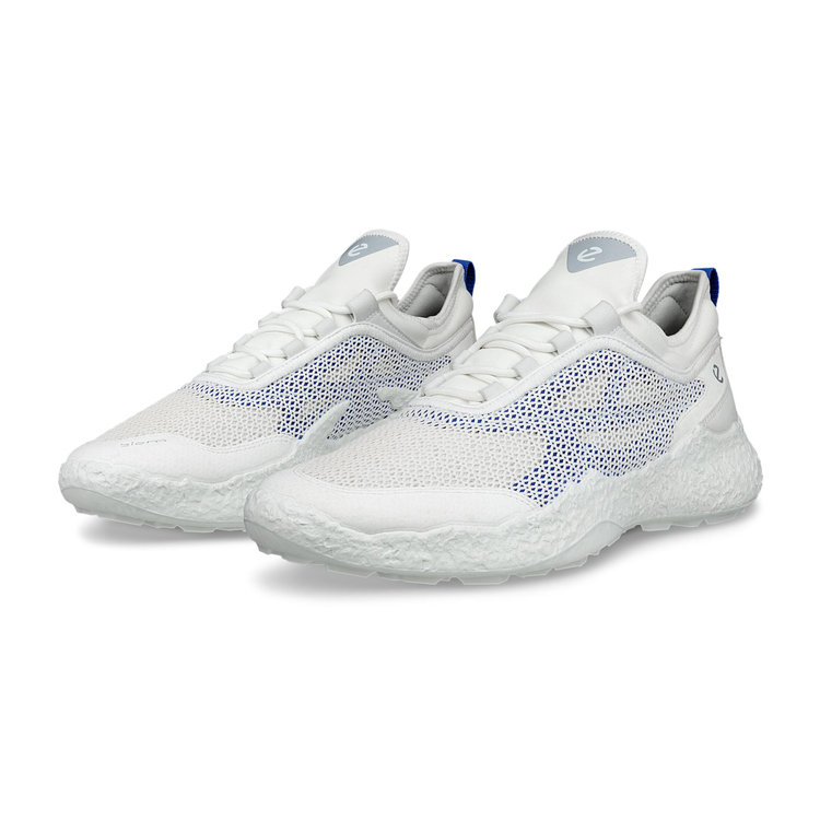Кроссовки ECCO M GOLF BIOM H5 138004/61109 Кроссовки ECCO M GOLF BIOM H5 138004/61109