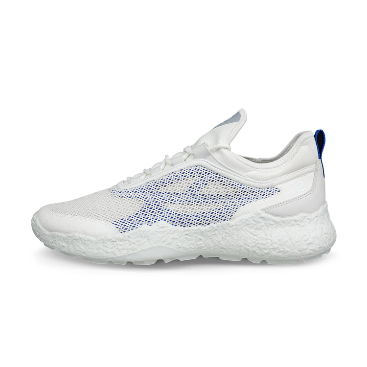 Кроссовки ECCO M GOLF BIOM H5 138004/61109
