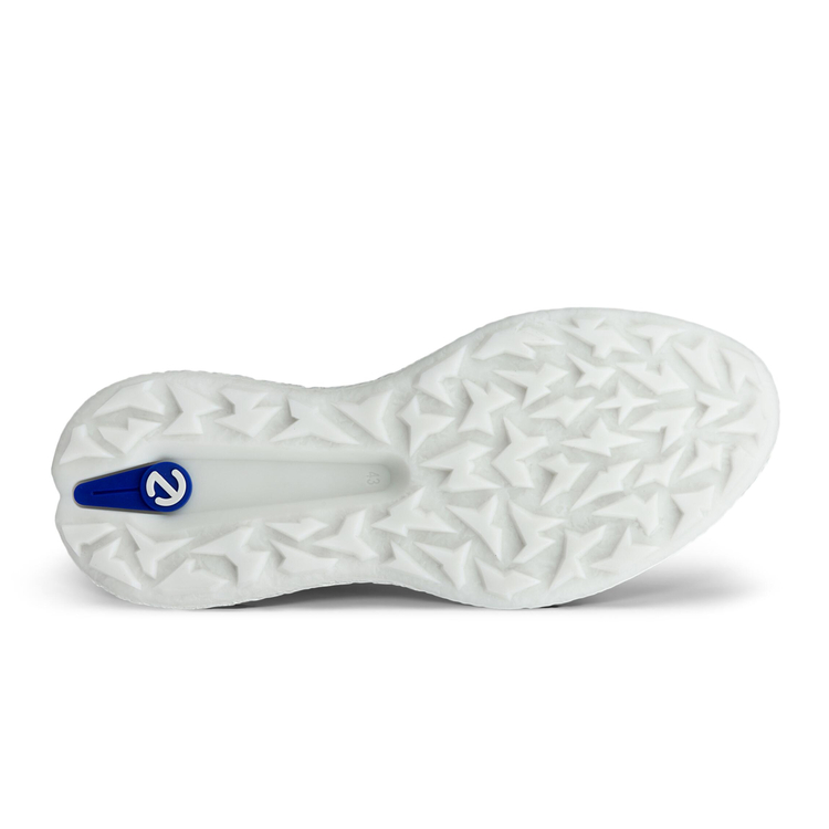 Кроссовки ECCO M GOLF BIOM H5 138004/61109