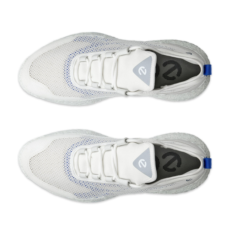 Кроссовки ECCO M GOLF BIOM H5 138004/61109 Кроссовки ECCO M GOLF BIOM H5 138004/61109