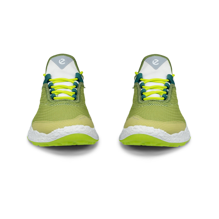 Кроссовки ECCO M GOLF BIOM H5 138004/61599