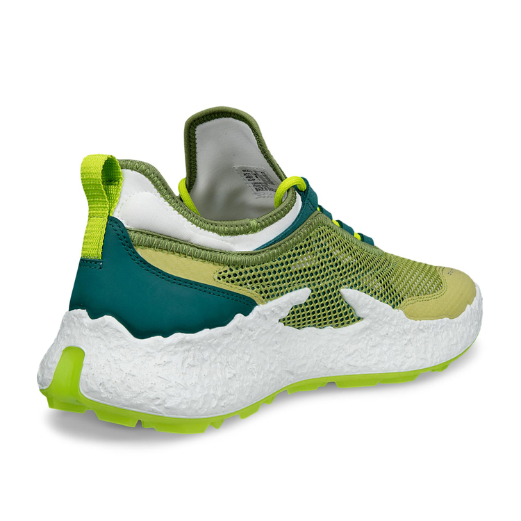 Кроссовки ECCO M GOLF BIOM H5 138004/61599