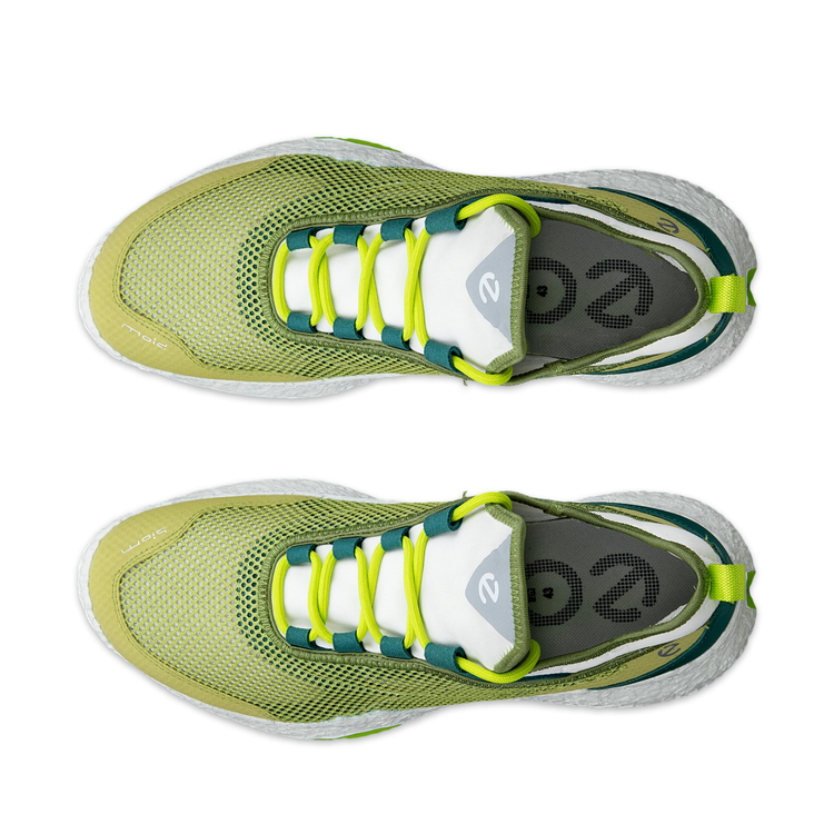 Кроссовки ECCO M GOLF BIOM H5 138004/61599