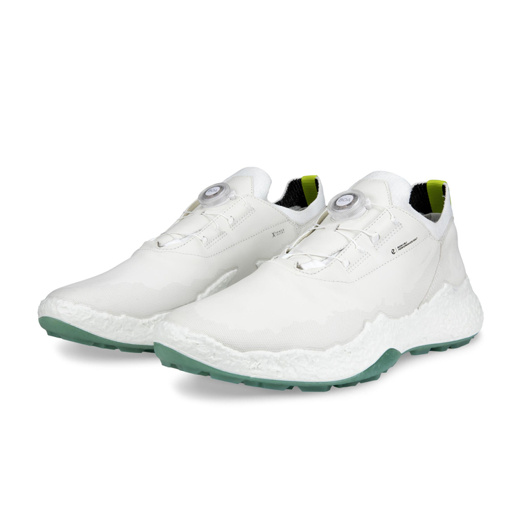 Кроссовки ECCO M GOLF BIOM H5 138024/01007