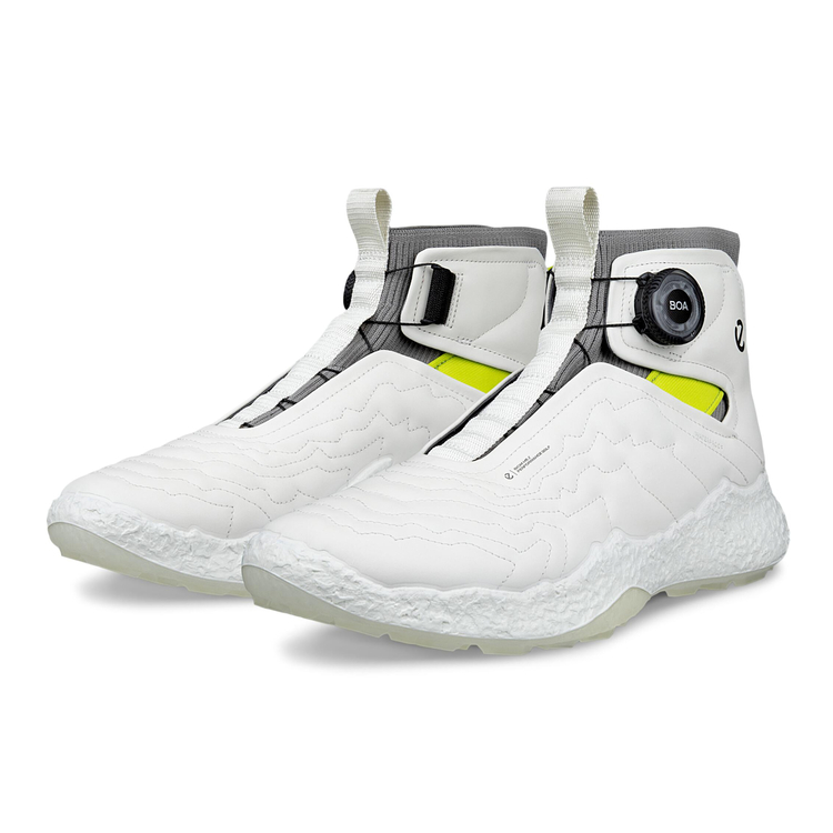 Ботинки ECCO M GOLF BIOM H5 138044/01007