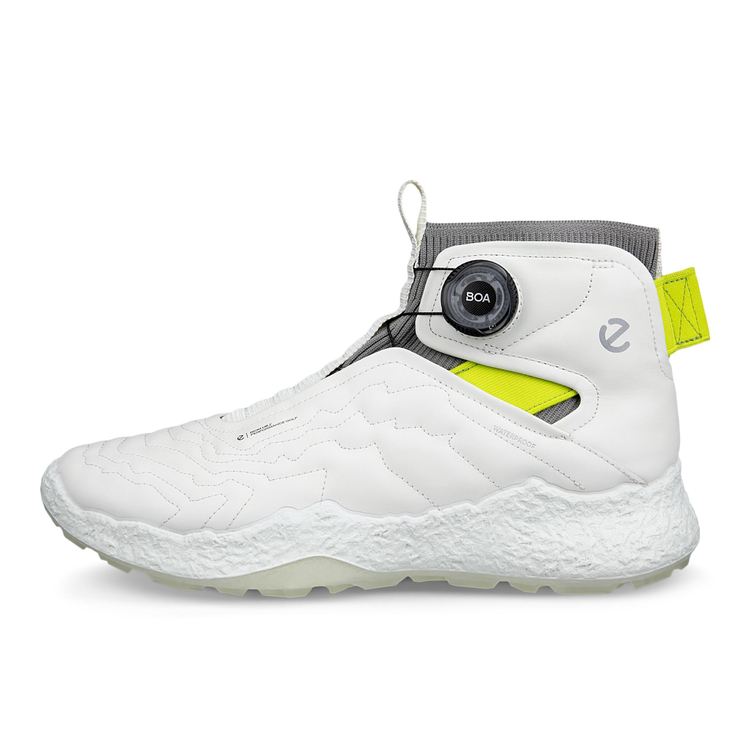 Ботинки ECCO M GOLF BIOM H5 138044/01007