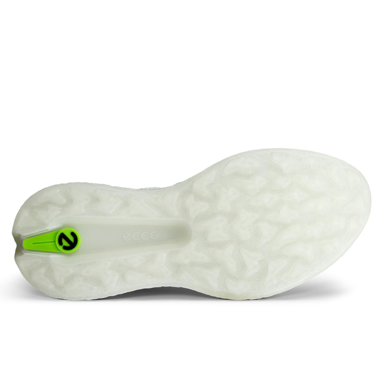 Ботинки ECCO M GOLF BIOM H5 138044/01007