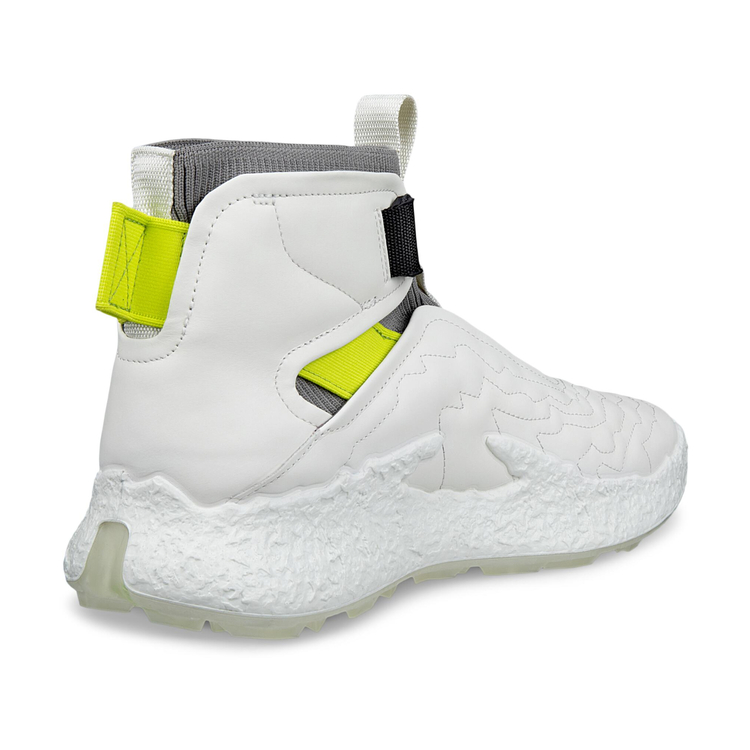 Ботинки ECCO M GOLF BIOM H5 138044/01007