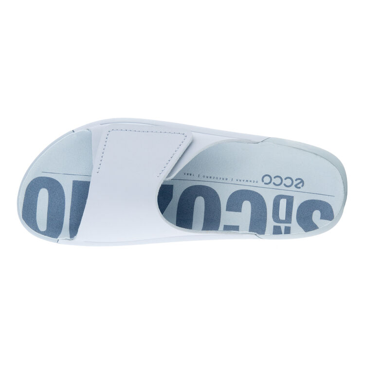 Шлепанцы ECCO COZMO W 206803/01696