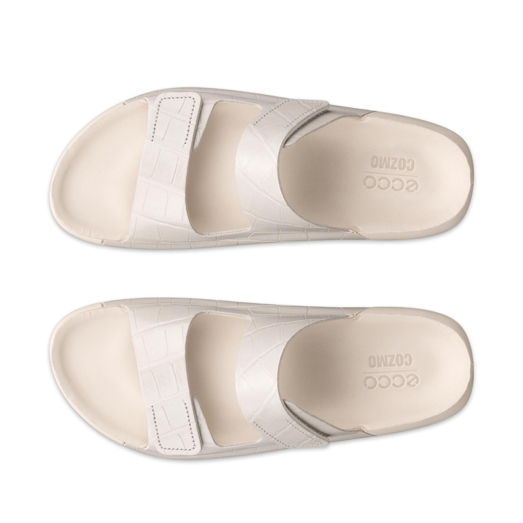 Шлепанцы ECCO COZMO W 206823/01378