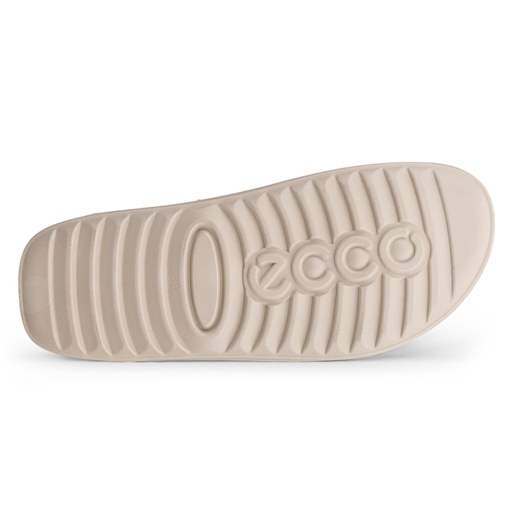 Шлепанцы ECCO COZMO W 206823/02241