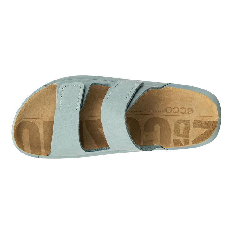 Шлепанцы ECCO COZMO W 206823/02400 Шлепанцы ECCO COZMO W 206823/02400